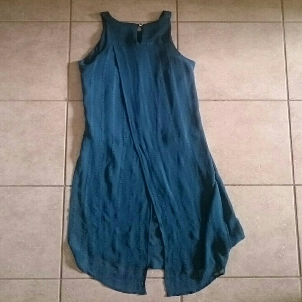 Bar III sheer top